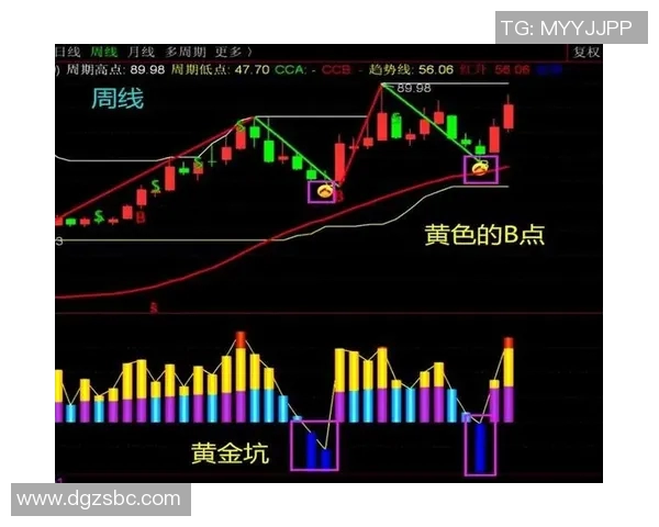 深度解析上海网球队盯防战术的独特魅力与实战应用